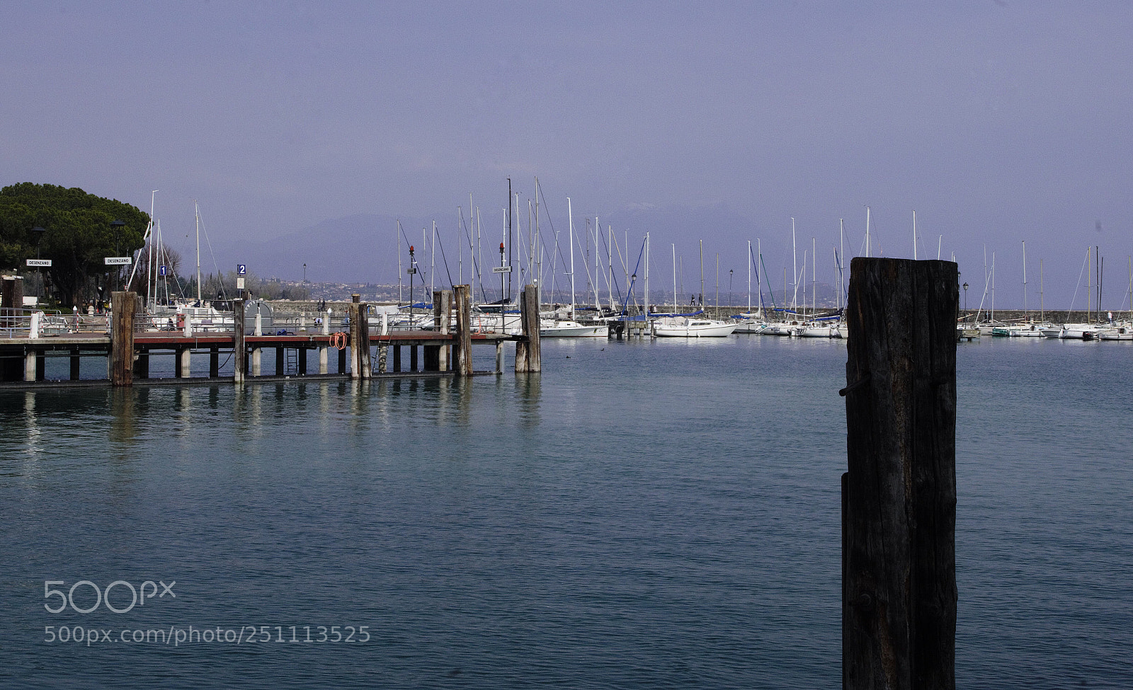 Pentax K-500 sample photo. Untitled photography