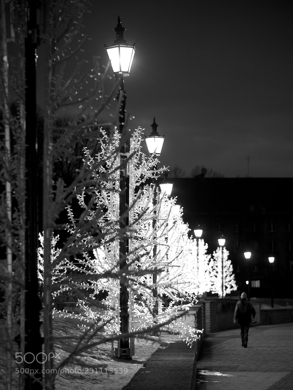 Nikon D7100 sample photo. A bit of christmas photography