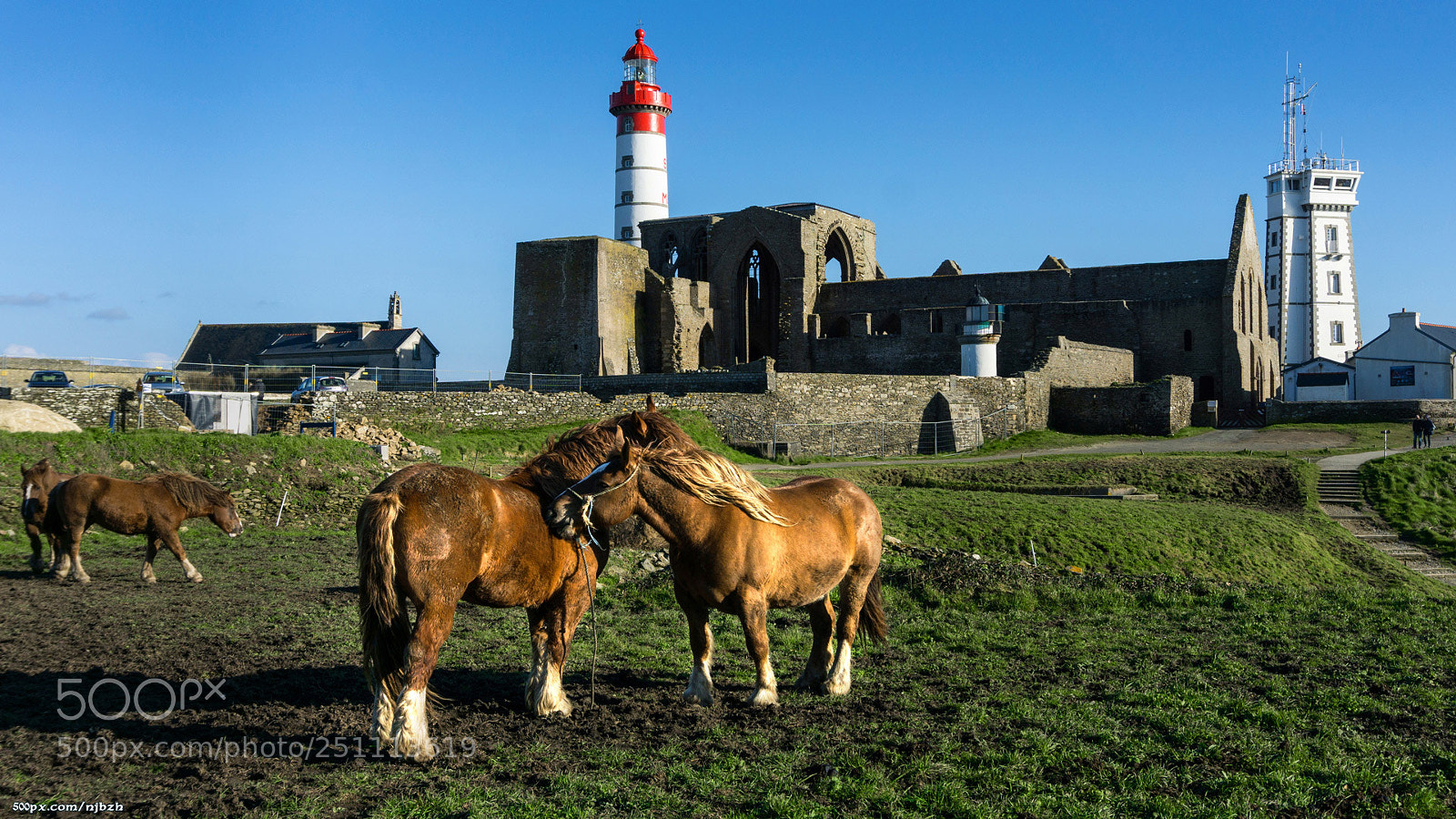 Sony a6000 sample photo. Horses at pointe de photography