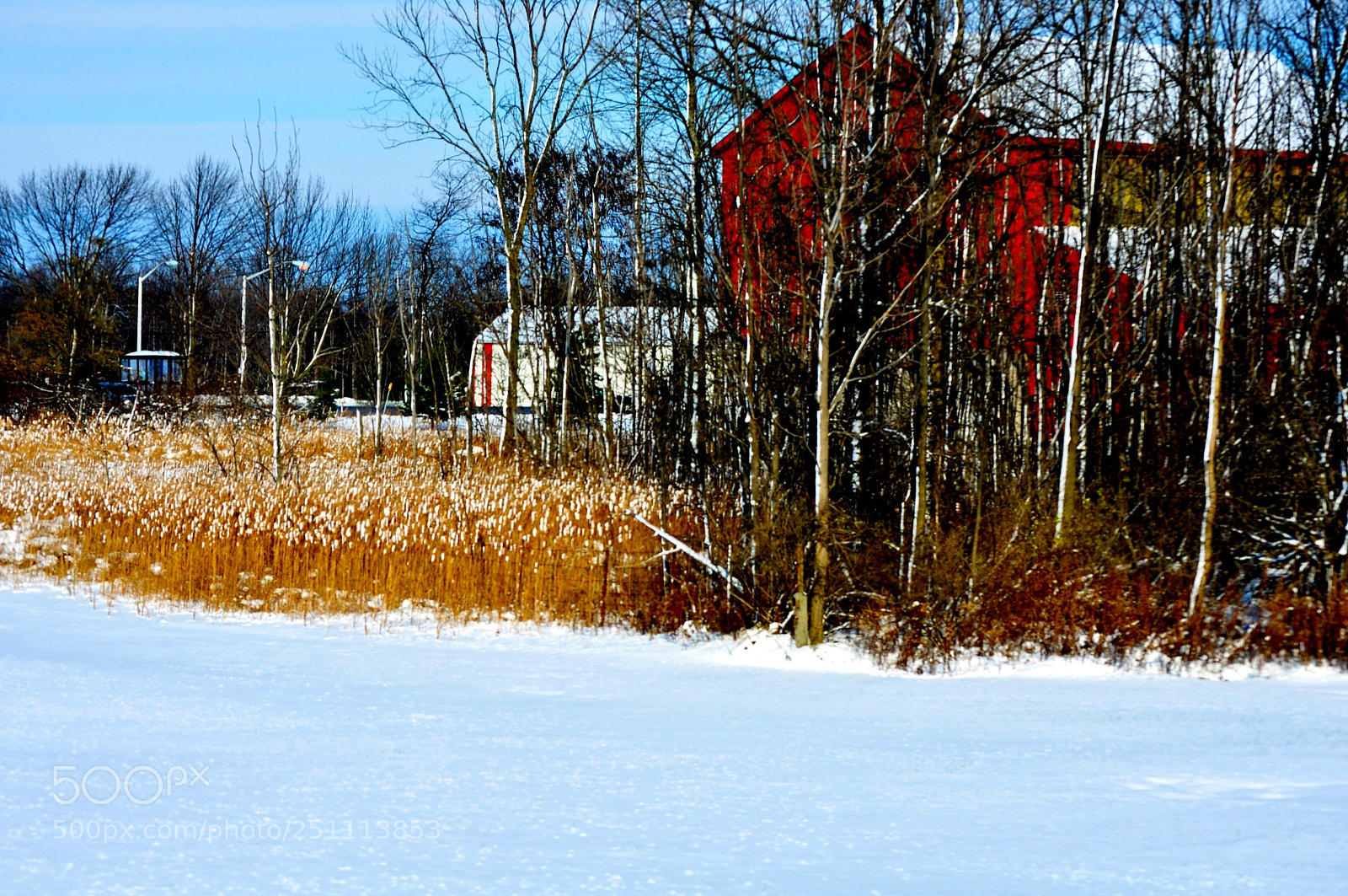 Nikon D5000 sample photo. Up state new york photography