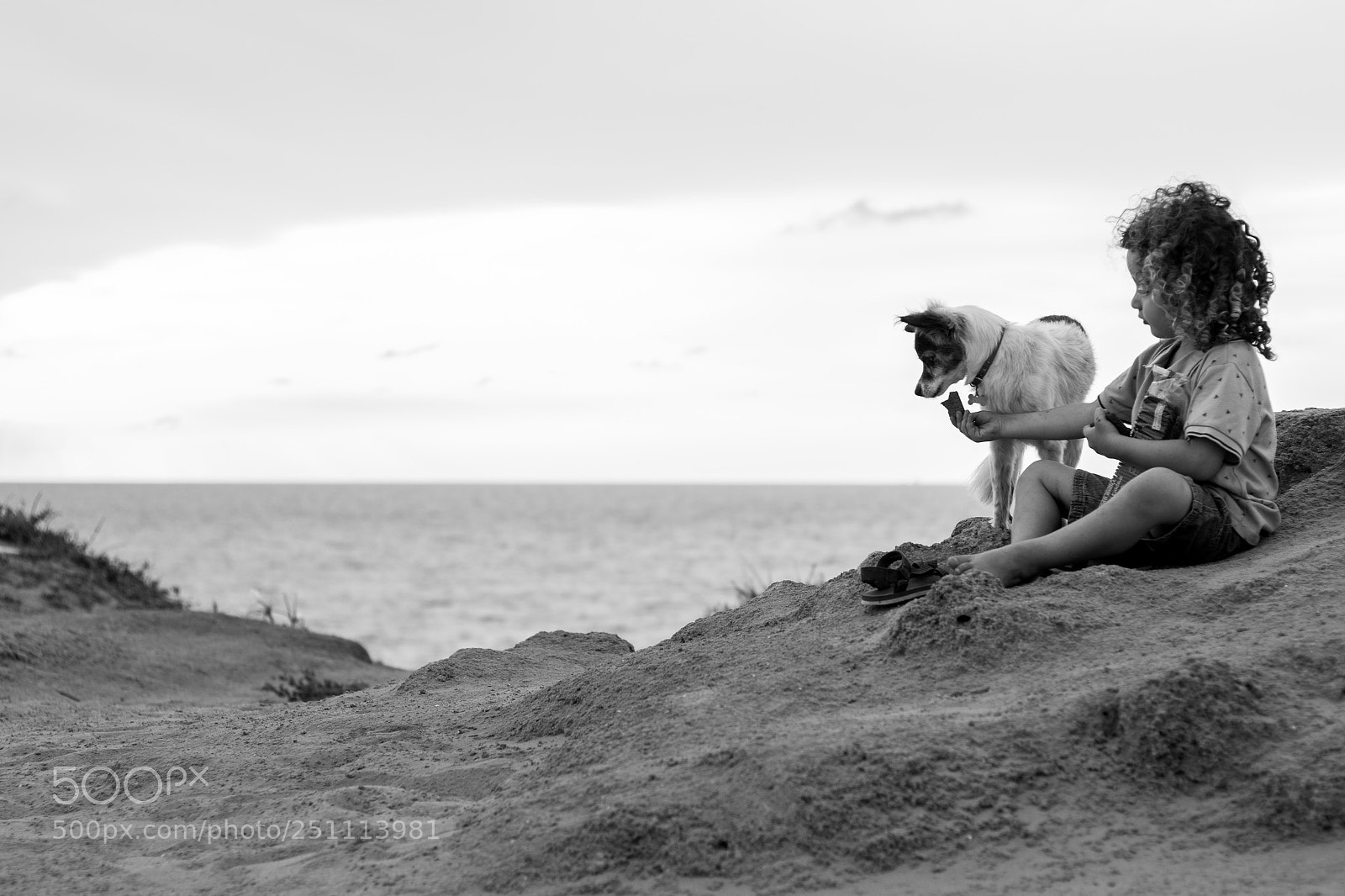 Canon EOS 7D Mark II sample photo. Gafni photography