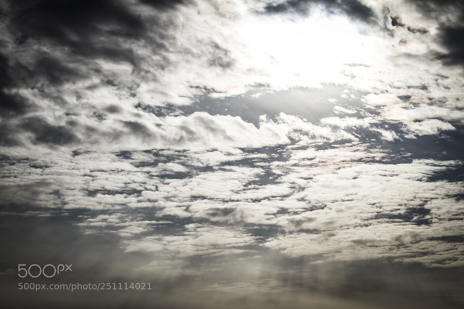 Canon EOS 7D sample photo. Img photography