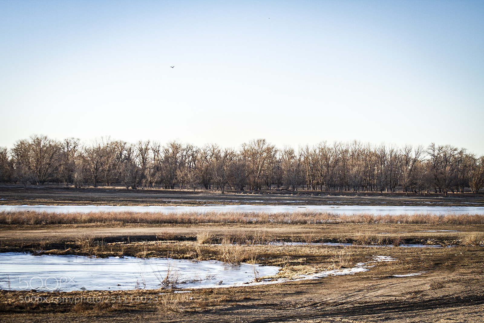 Canon EOS 7D sample photo. Img photography