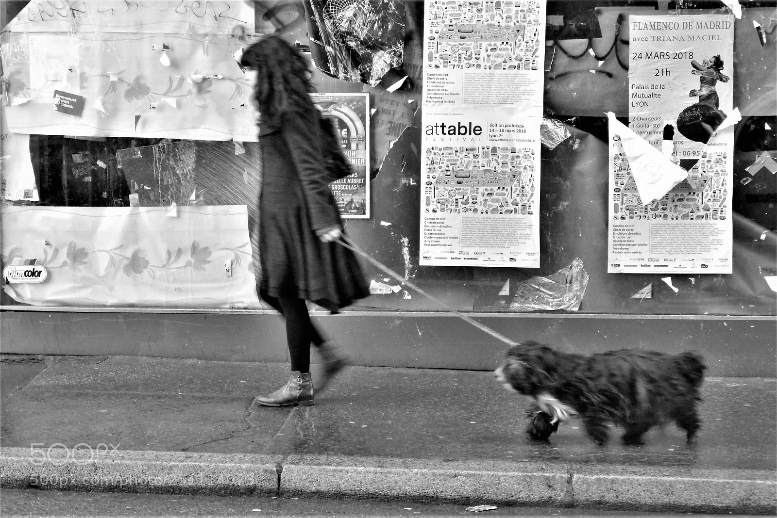 Panasonic Lumix DMC-LX7 sample photo. Destructured chick with puppy photography