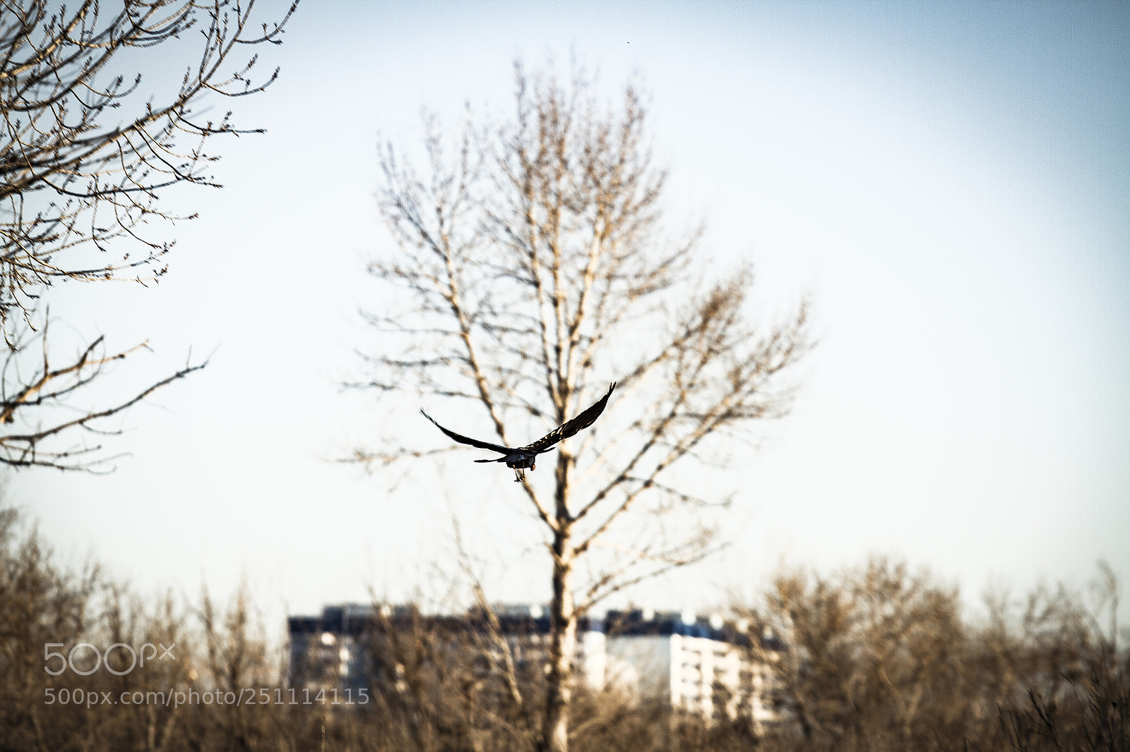 Canon EOS 7D sample photo. Img photography