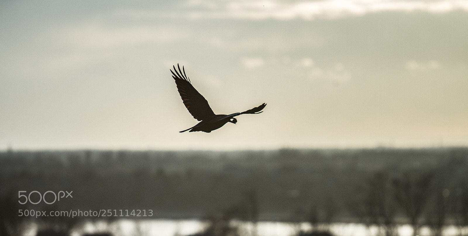 Canon EOS 7D sample photo. Img photography