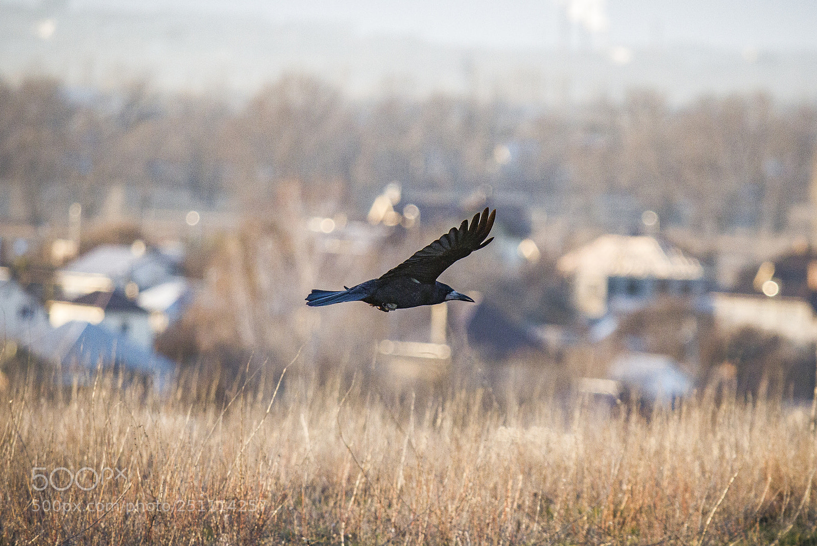 Canon EOS 7D sample photo. Img photography