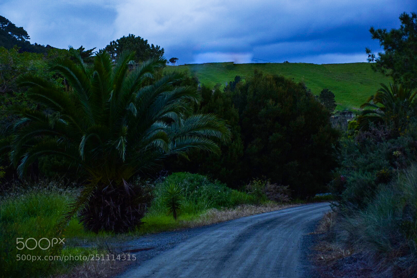 Nikon D5300 sample photo. The roadway photography