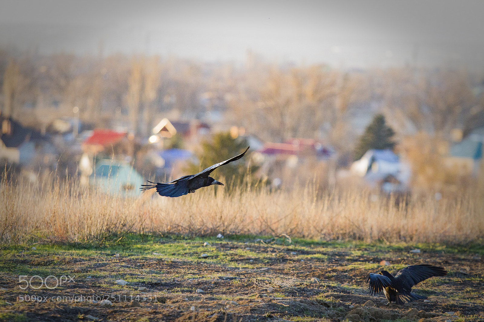 Canon EOS 7D sample photo. Img photography
