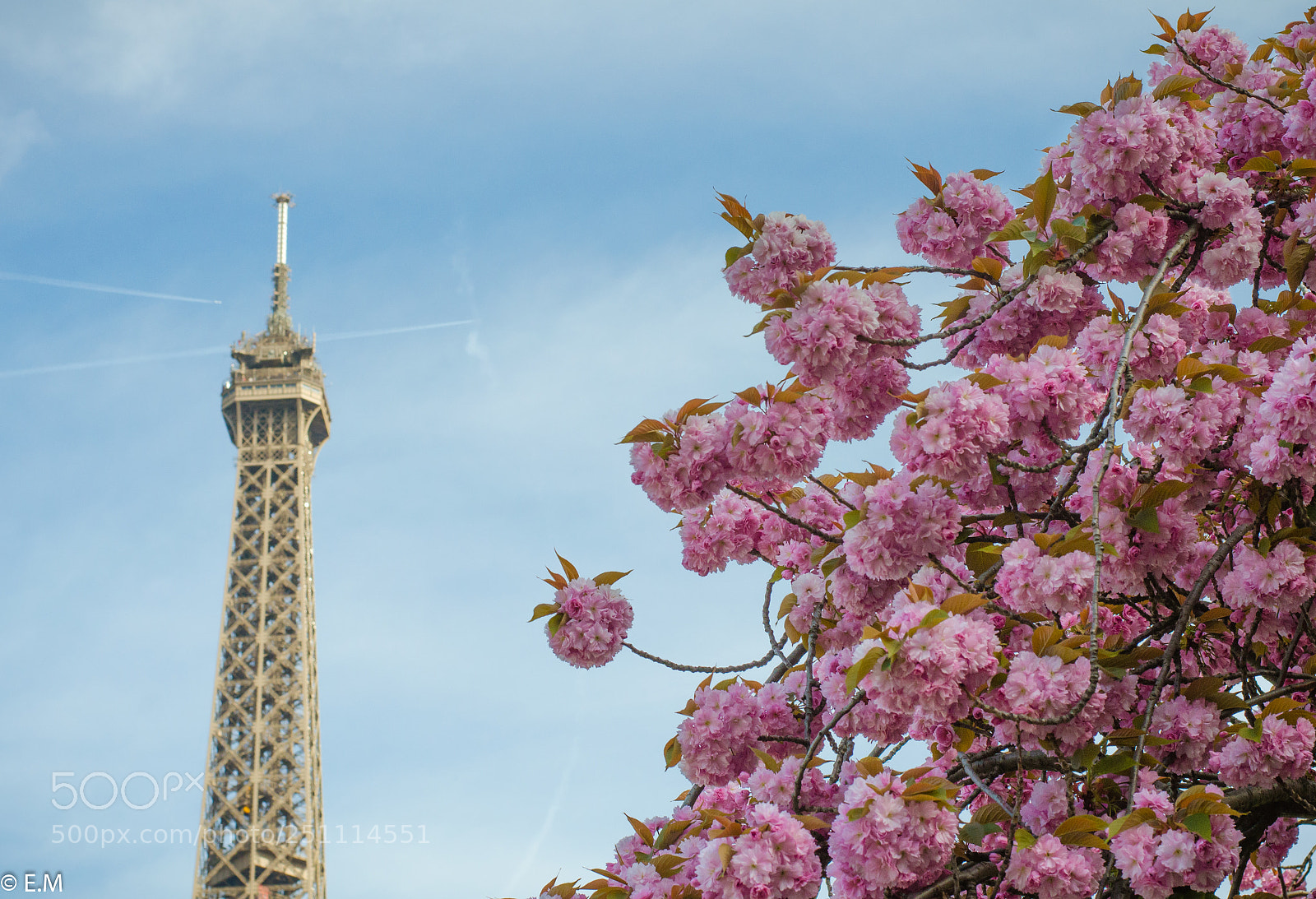 Nikon D5100 sample photo. Spring photography