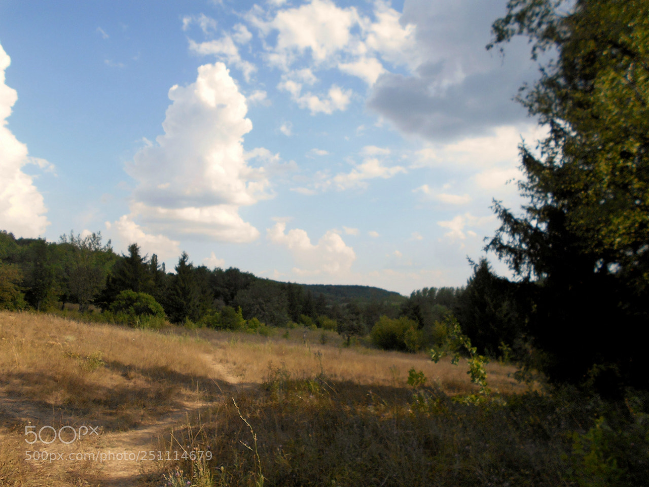 Nikon Coolpix A100 sample photo. Eaorig photography