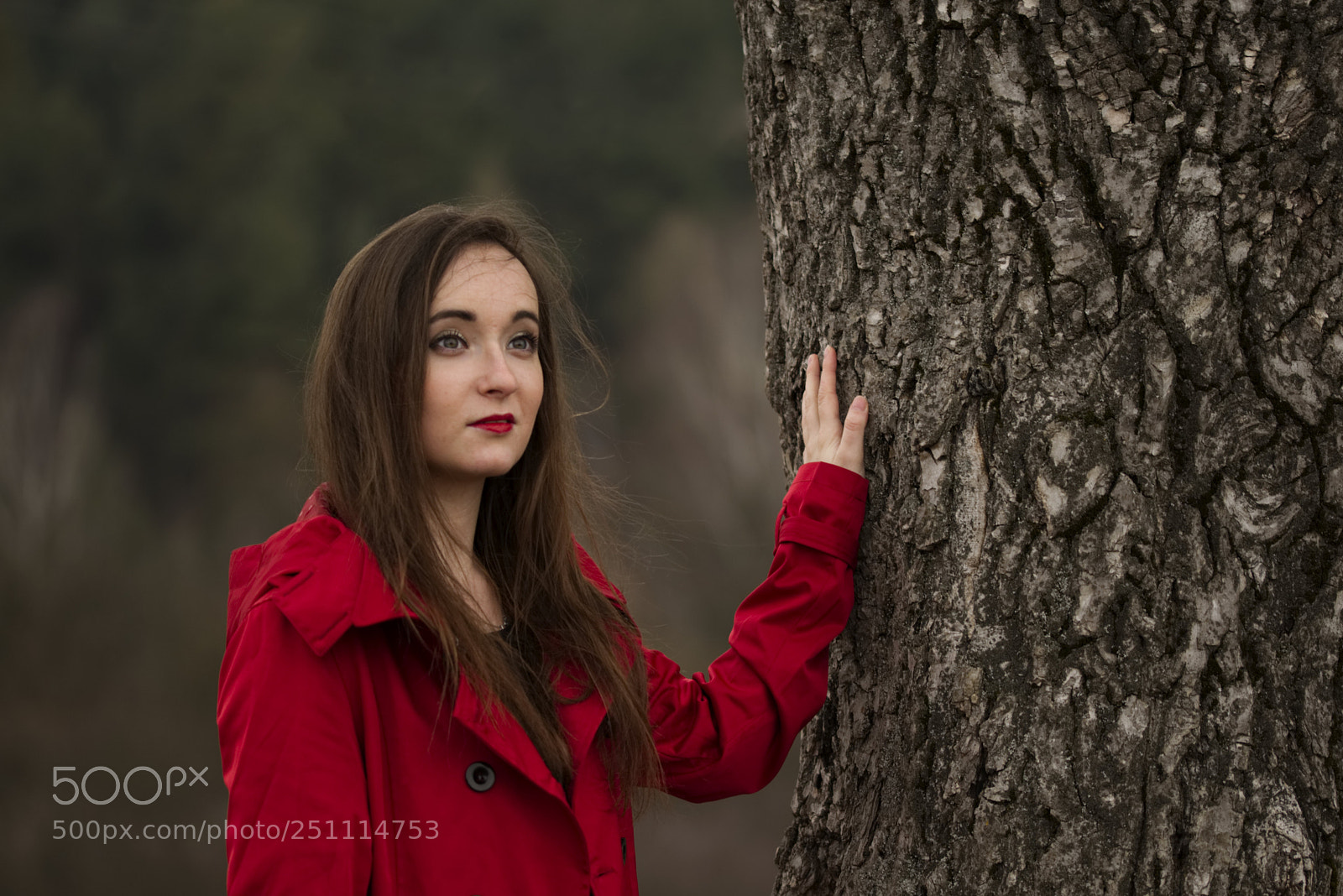 Nikon D3300 sample photo. Dreaming veronika photography