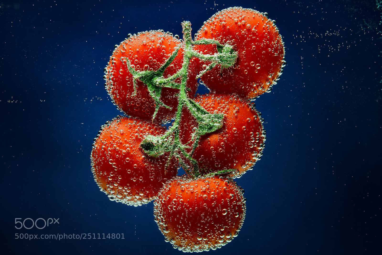 Nikon D7500 sample photo. Red in blue photography