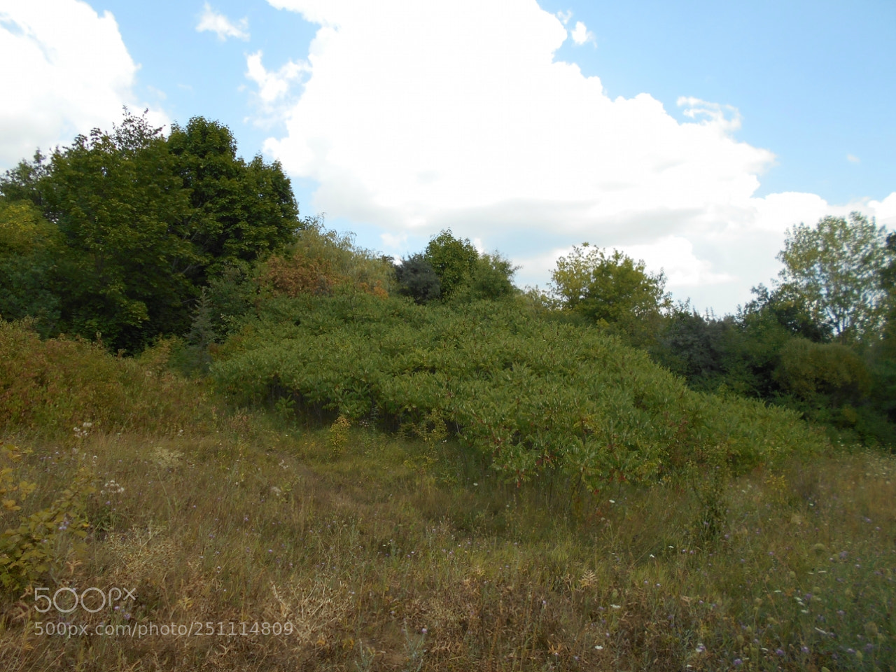 Nikon Coolpix A100 sample photo. Eeeaeorig photography
