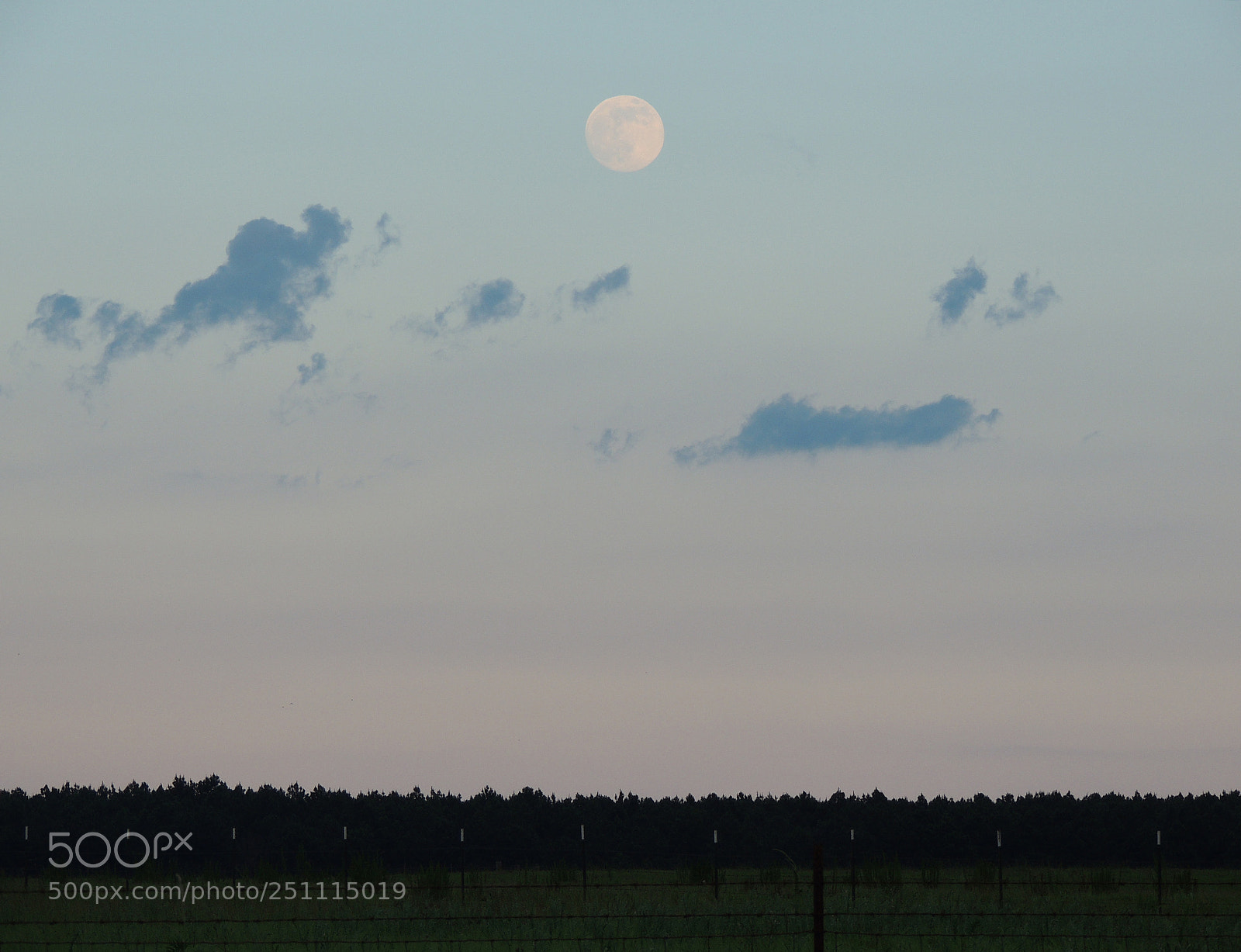 Nikon Coolpix P510 sample photo. Moody moon in the photography