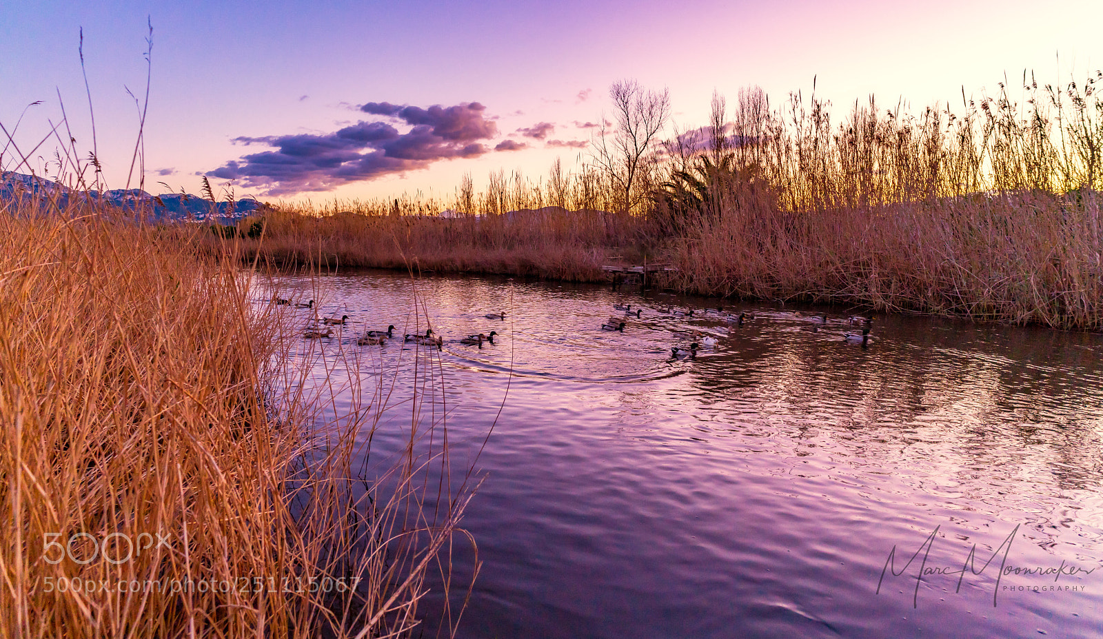 Sony a7R II sample photo. The river.. photography