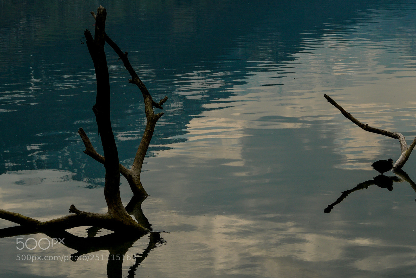 Nikon D7500 sample photo. Untitled photography