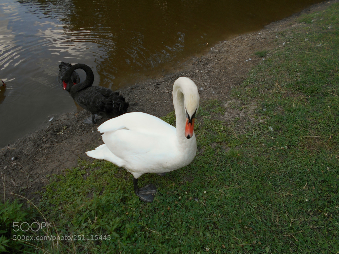 Nikon Coolpix A100 sample photo. Eeeaad orig photography