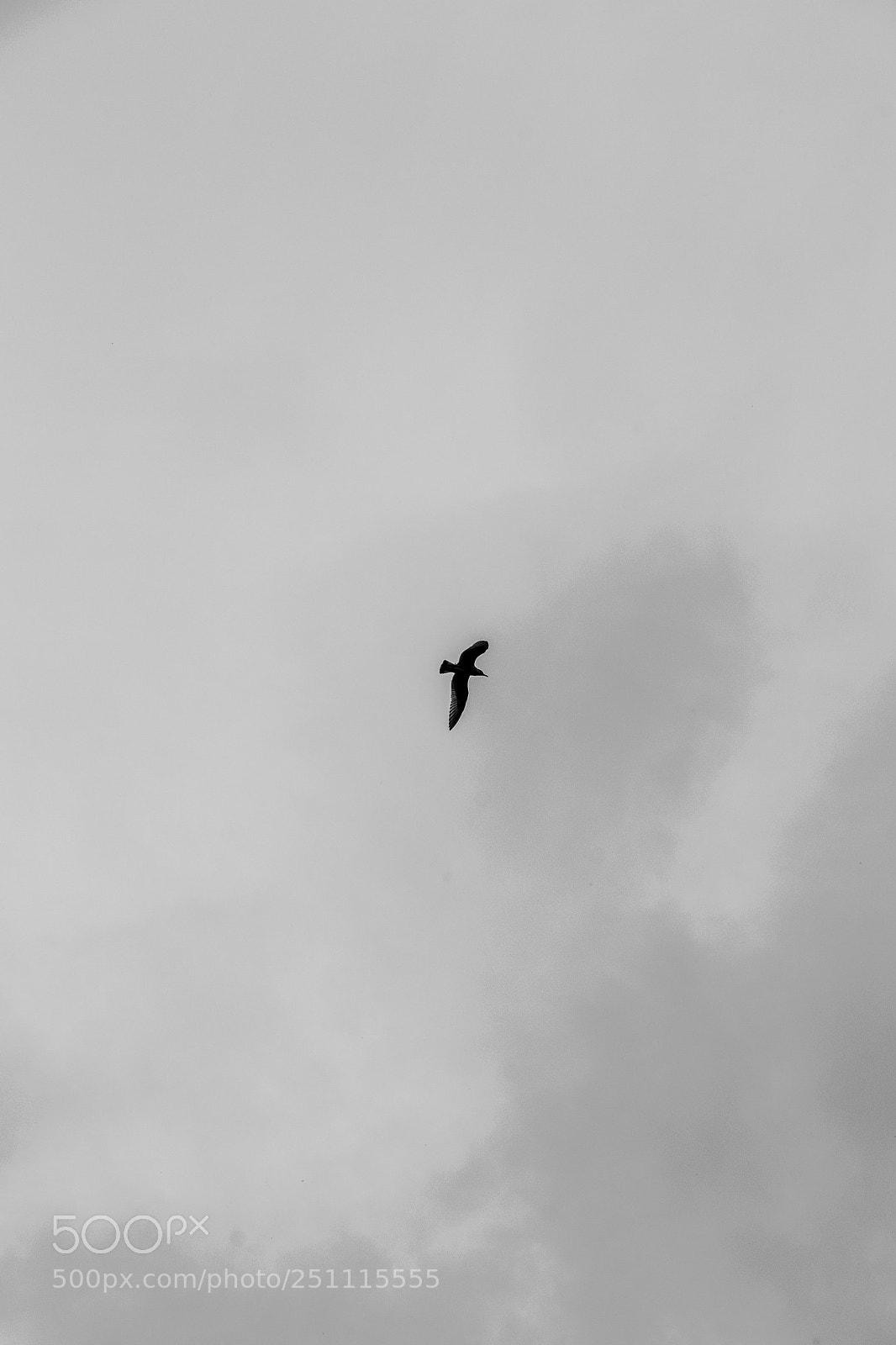 Nikon D3100 sample photo. Trance dreamer in saint-p photography