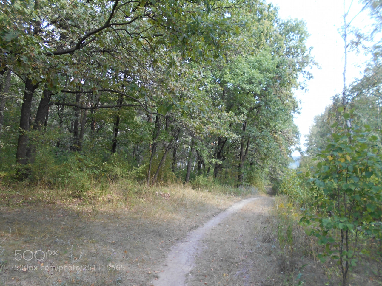 Nikon Coolpix A100 sample photo. Ee caaddorig photography