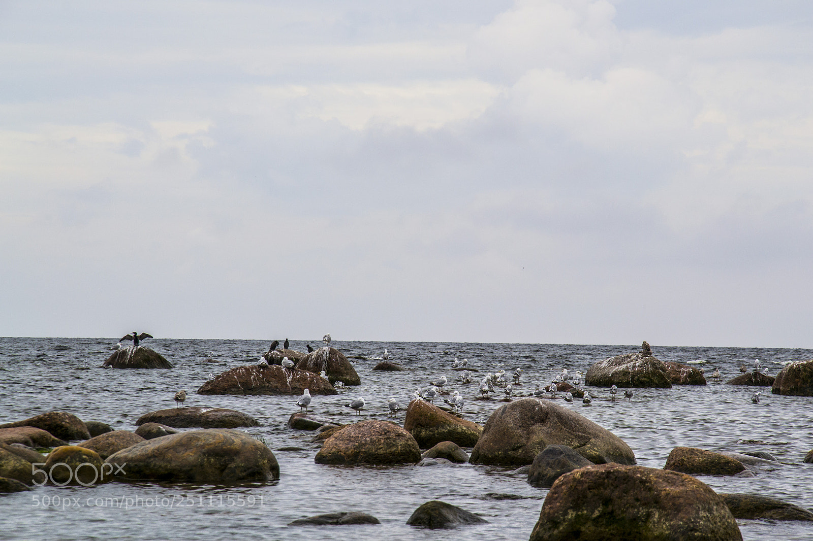 Nikon D3100 sample photo. Trance dreamer in saint-p photography
