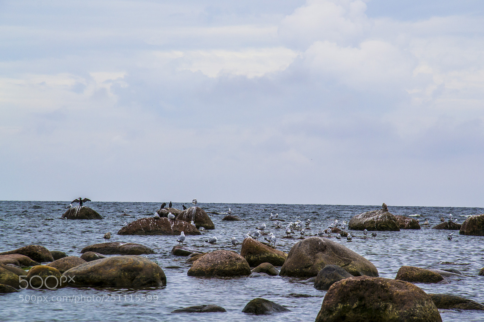Nikon D3100 sample photo. Trance dreamer in saint-p photography