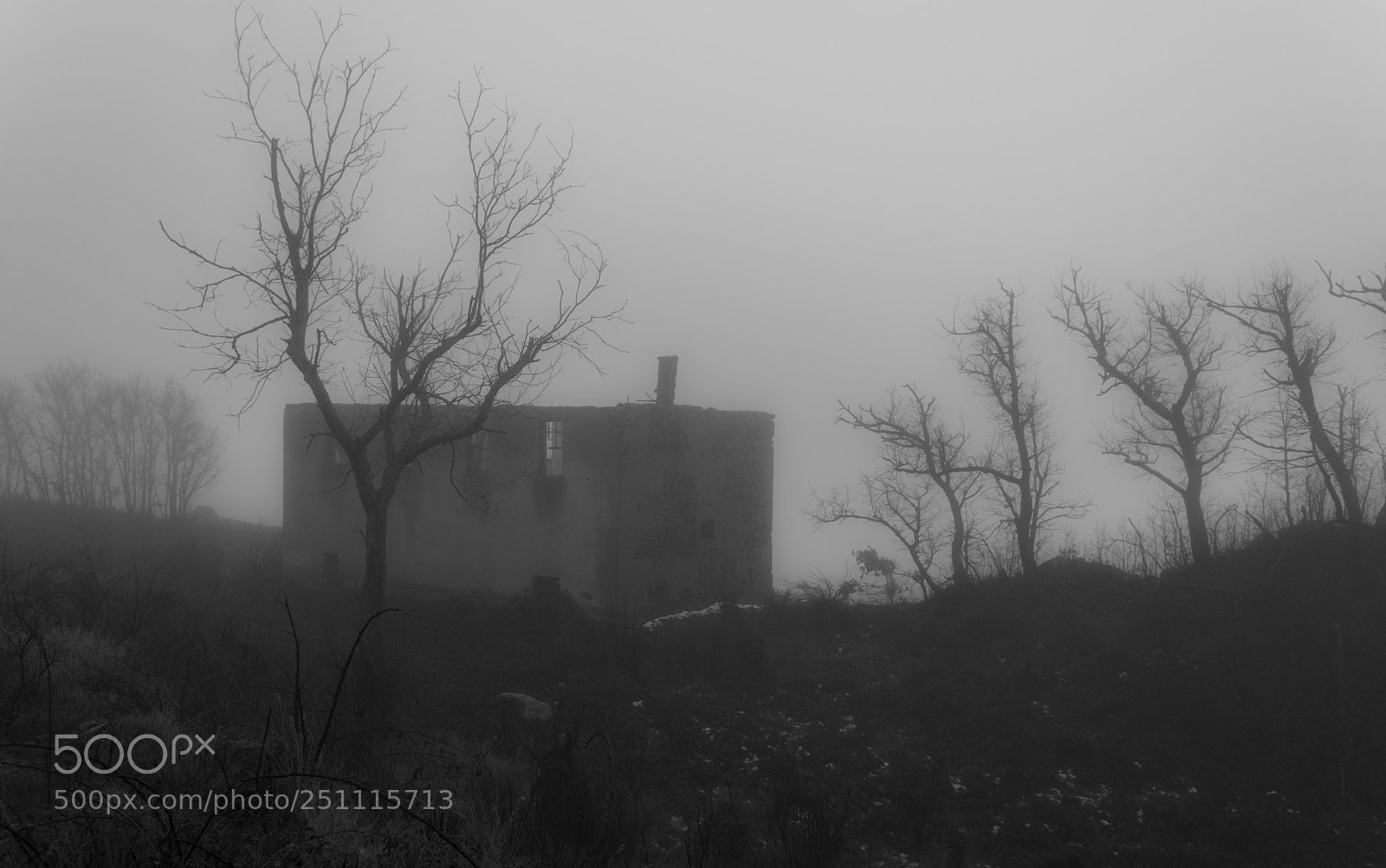 Nikon D750 sample photo. Ruin in the fog photography