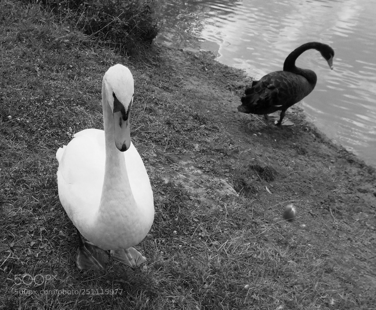 Nikon Coolpix A100 sample photo. Ee bc orig photography