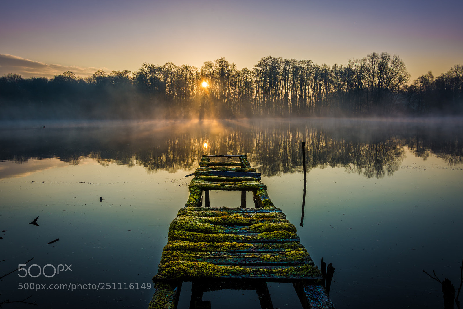 Nikon D7200 sample photo. Wintermorning at de wittlake photography