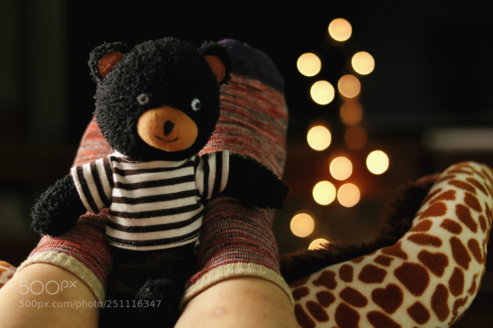 Canon EOS 750D (EOS Rebel T6i / EOS Kiss X8i) sample photo. A cozy spring night photography