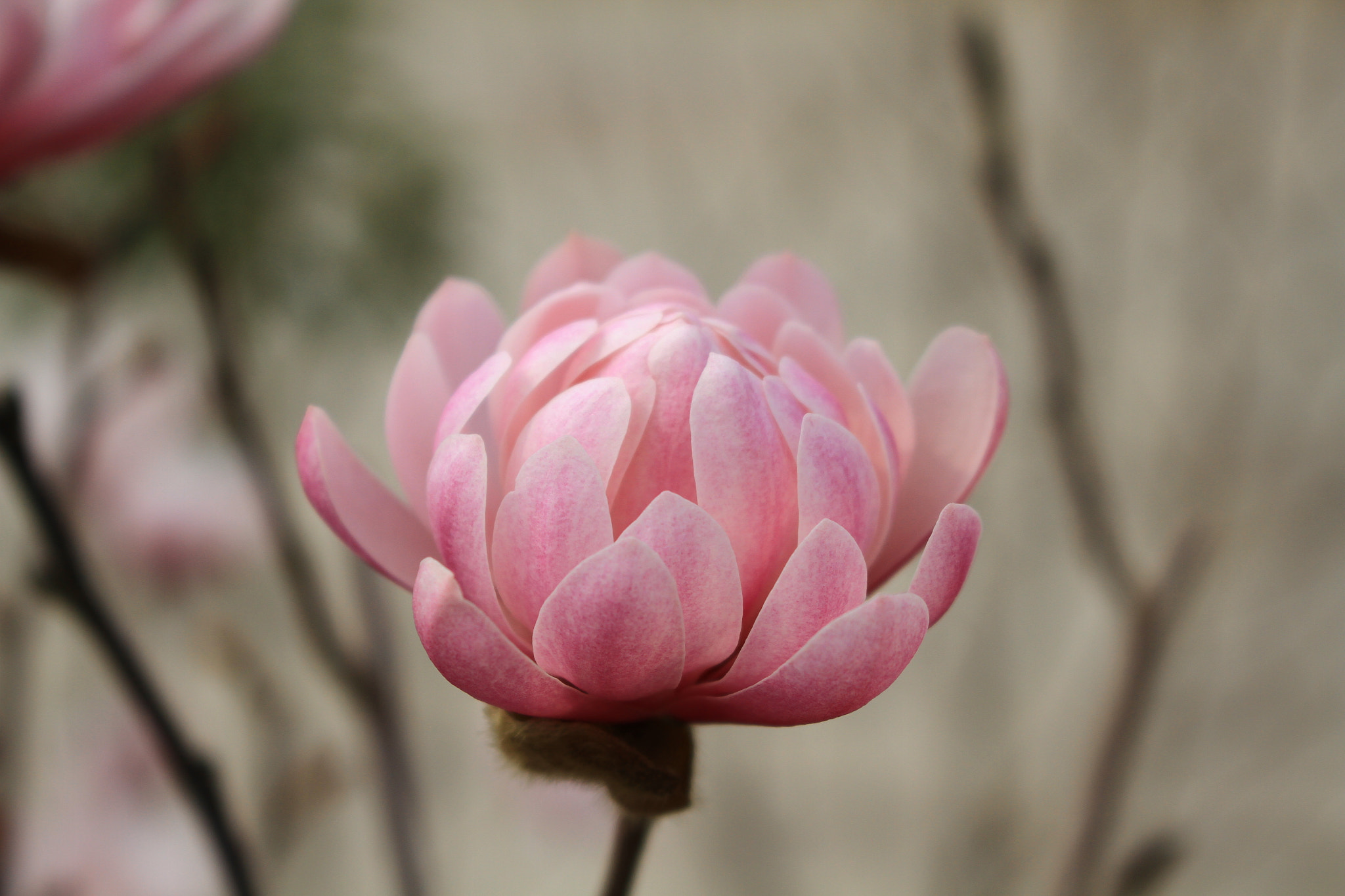 Canon EOS 7D sample photo