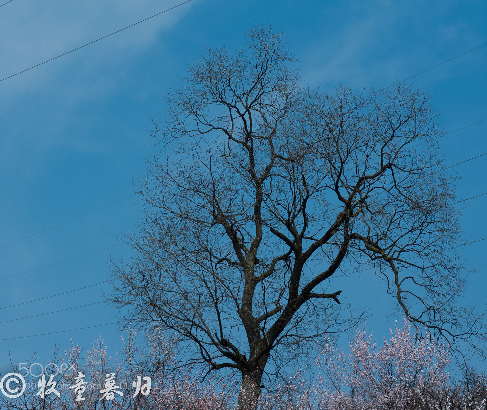 Nikon D7100 sample photo. Untitled photography