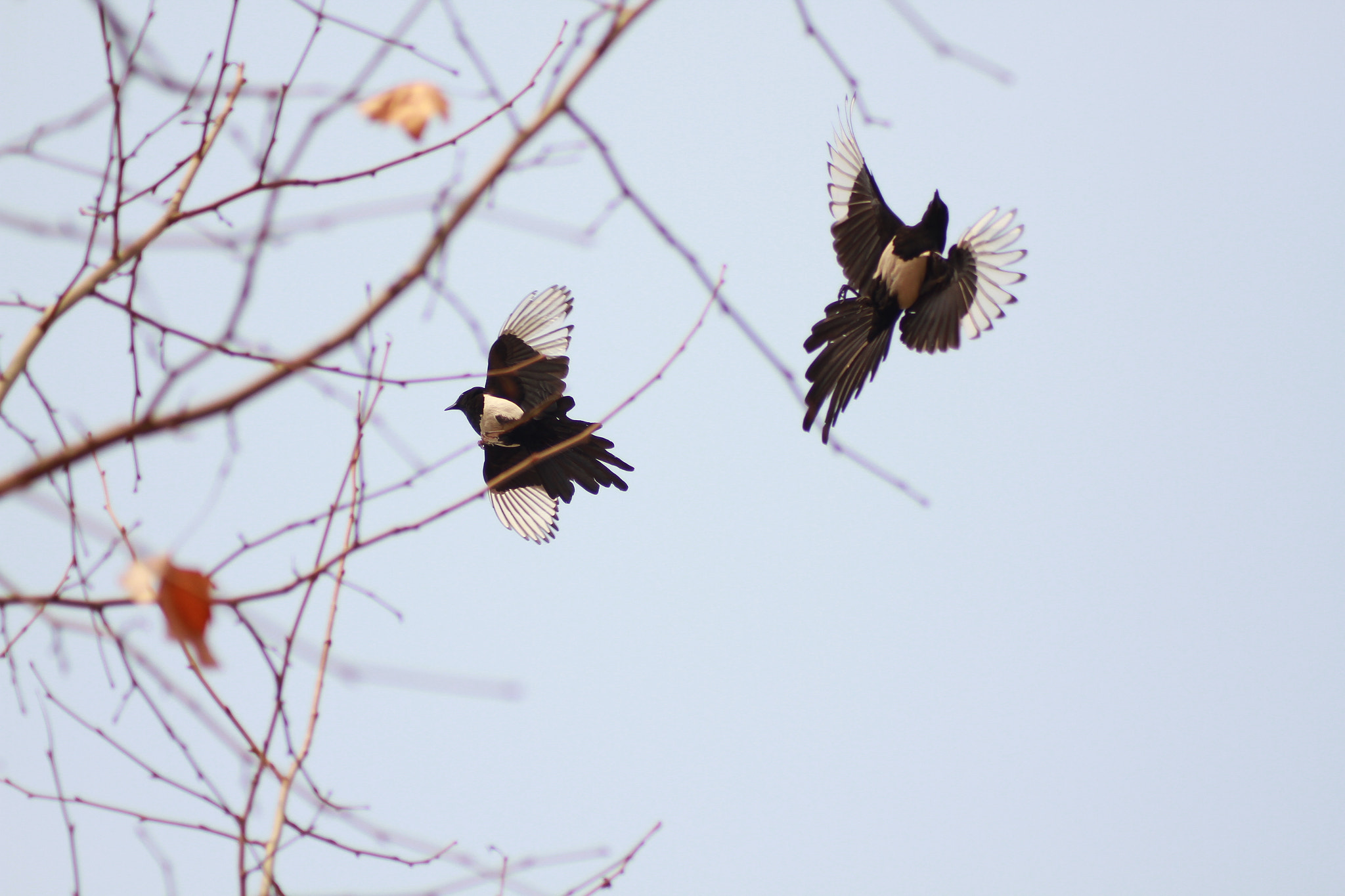 Canon EOS 7D sample photo