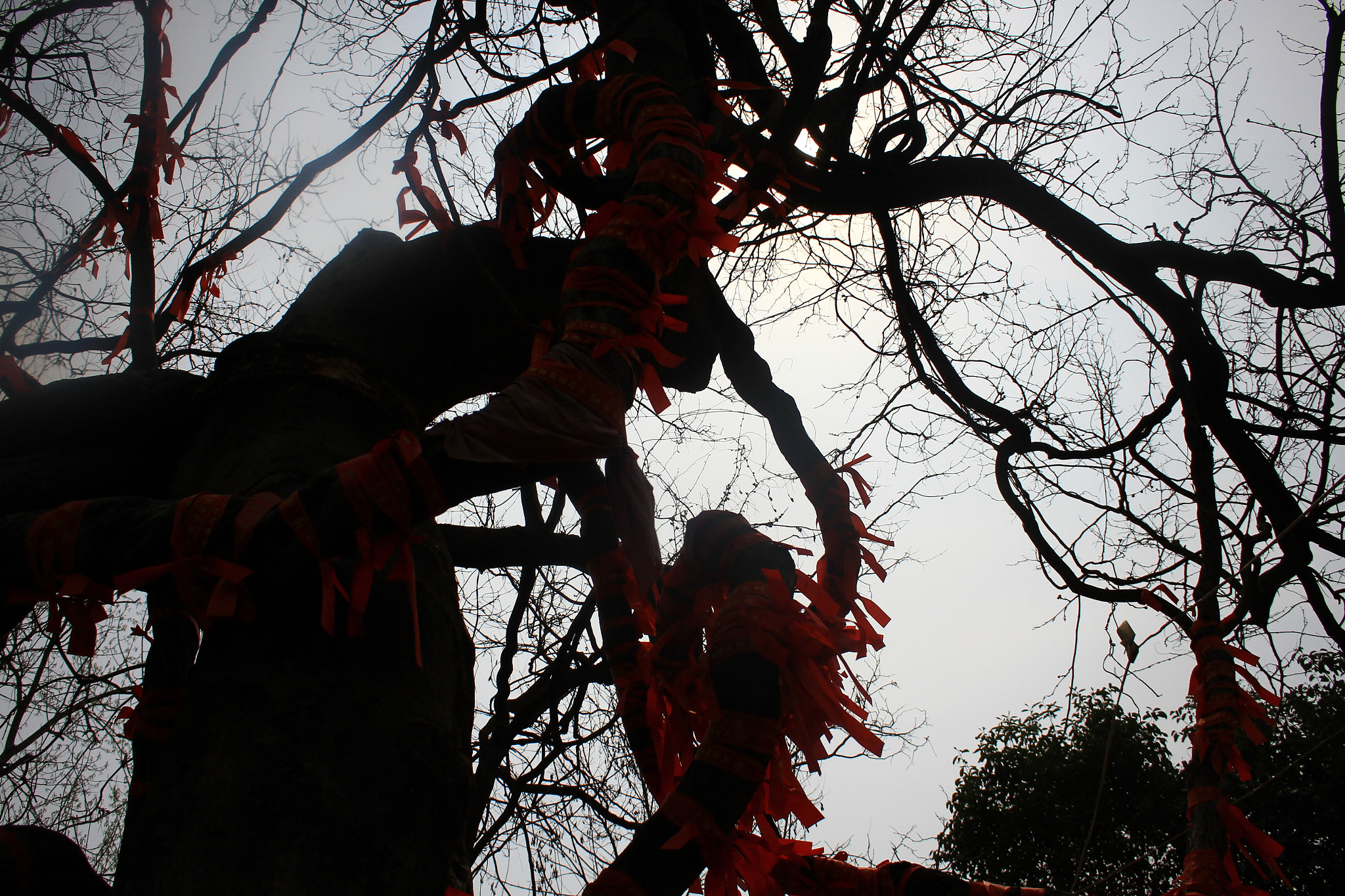 Canon EOS 7D sample photo