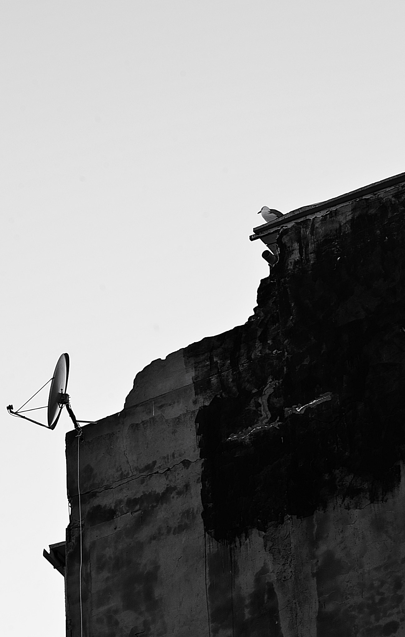 Nikon D7000 sample photo. Oa40 photography