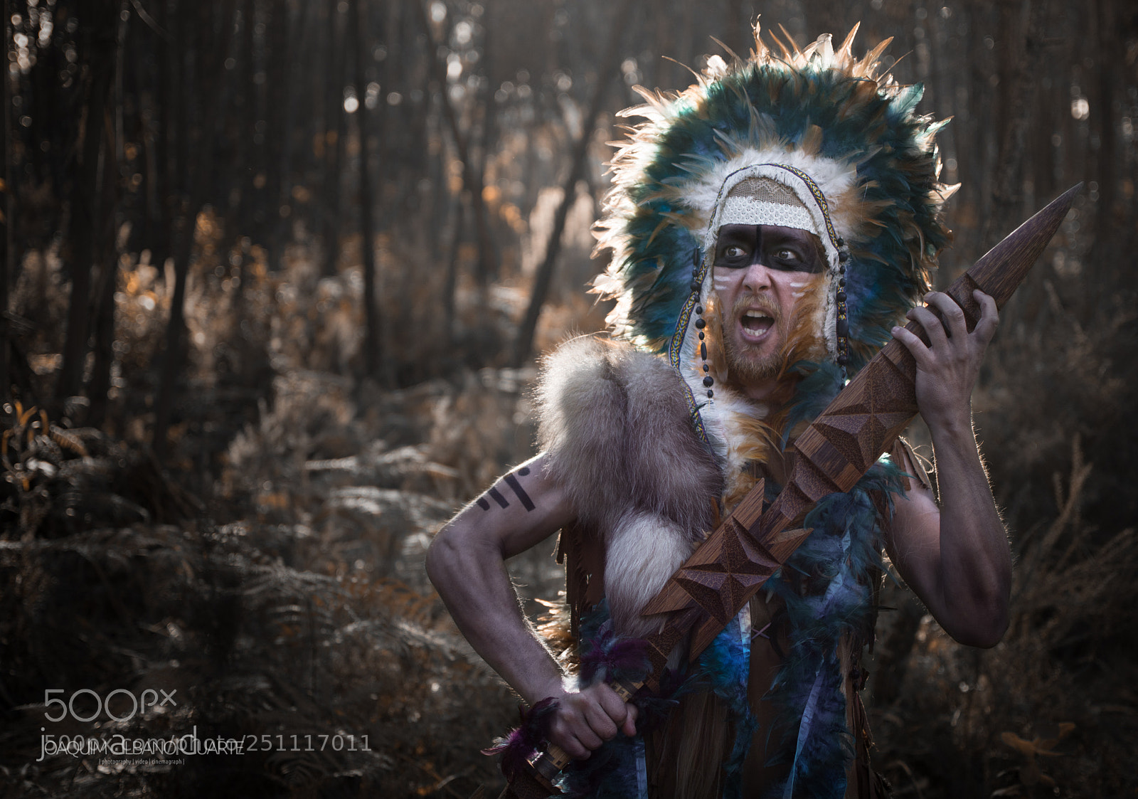 Nikon D7100 sample photo. Warrior photography