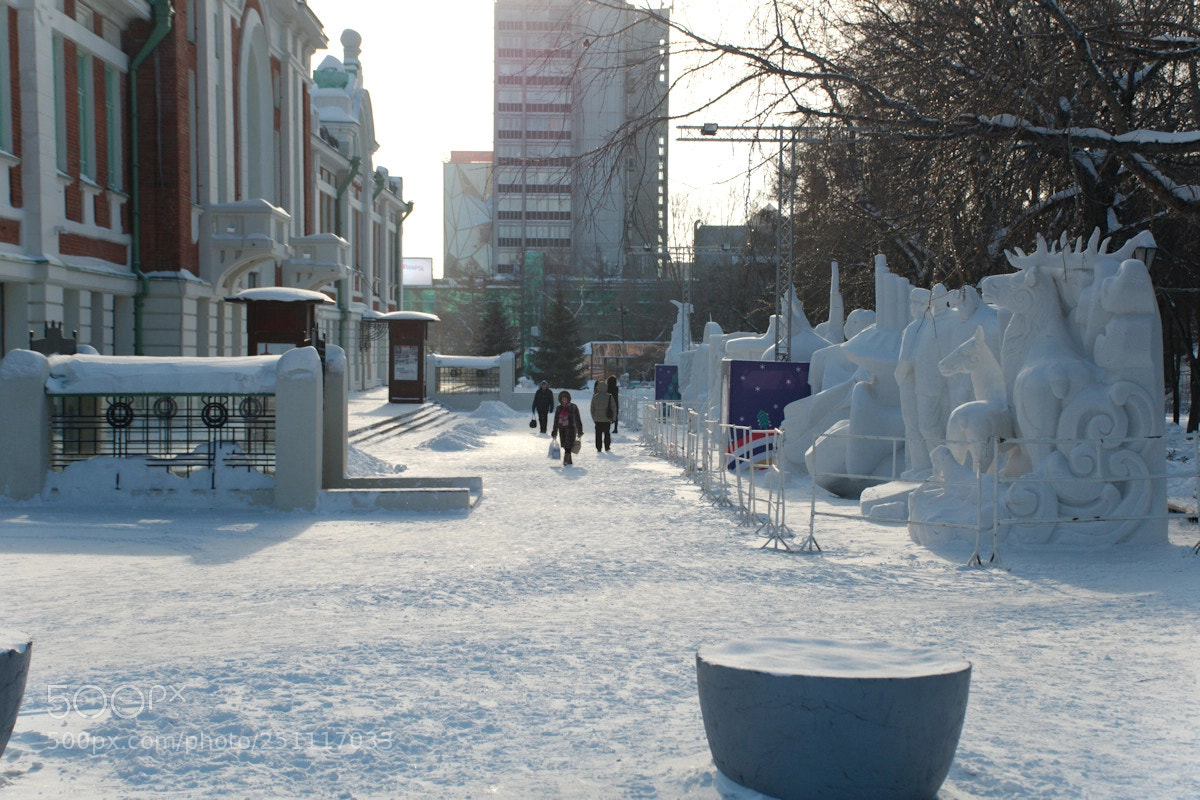Nikon D7000 sample photo. Зима photography
