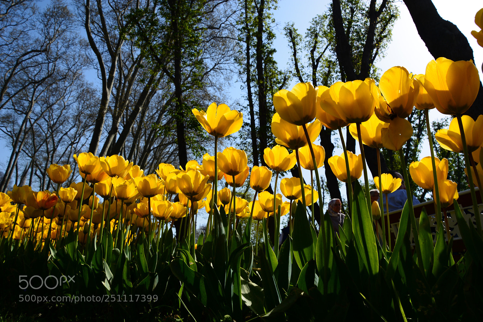 Nikon D7100 sample photo. Untitled photography