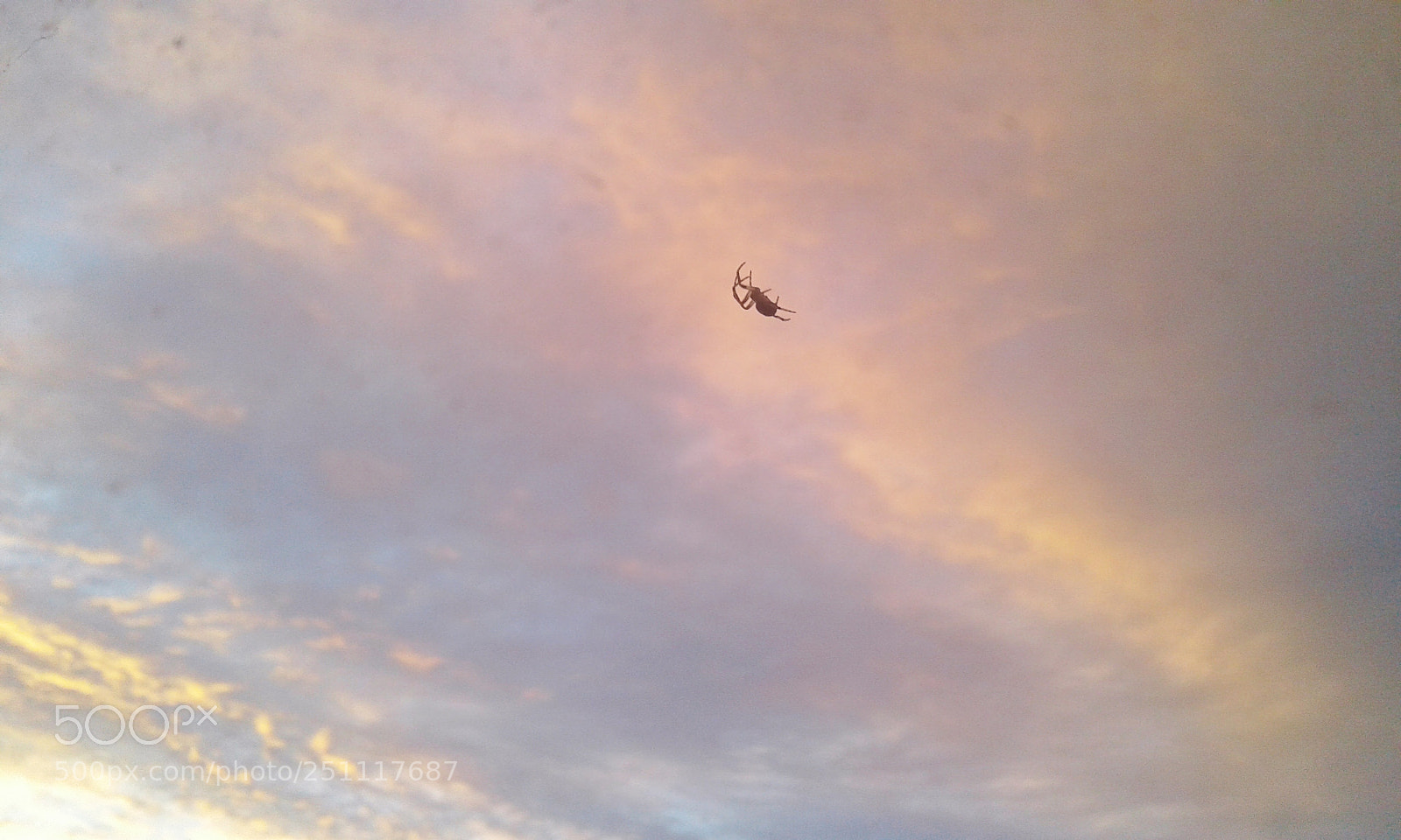 Samsung Galaxy J1 sample photo. Spider in the sky photography