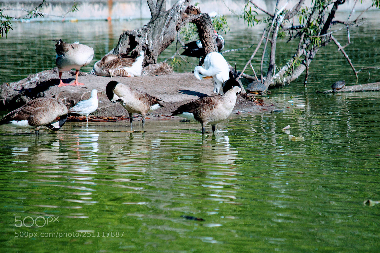 Nikon D7100 sample photo. Bathing time photography