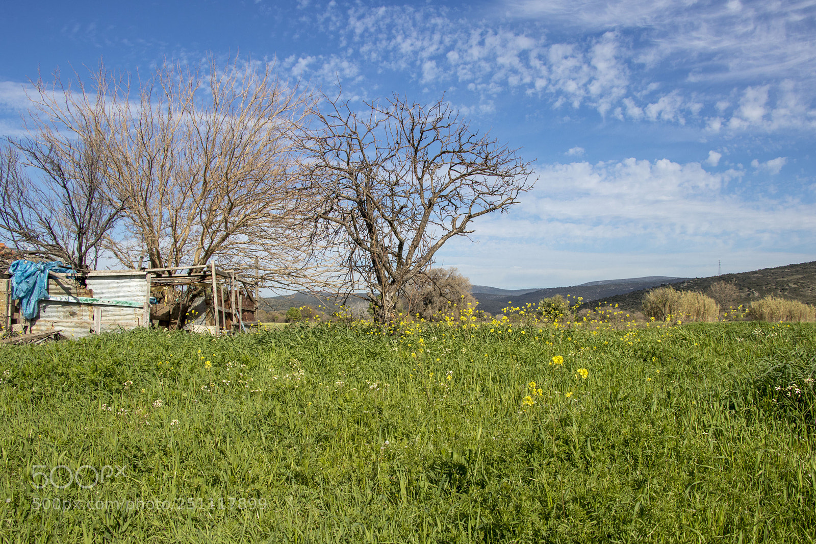 Canon EOS 77D (EOS 9000D / EOS 770D) sample photo. Spring photography
