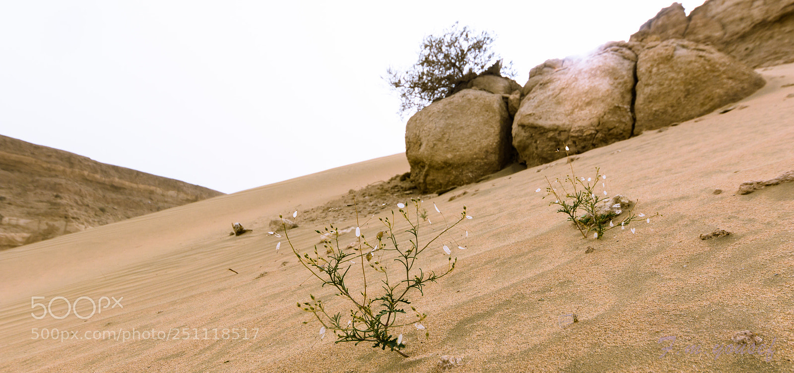 Canon EOS 600D (Rebel EOS T3i / EOS Kiss X5) sample photo. Kuwait photography