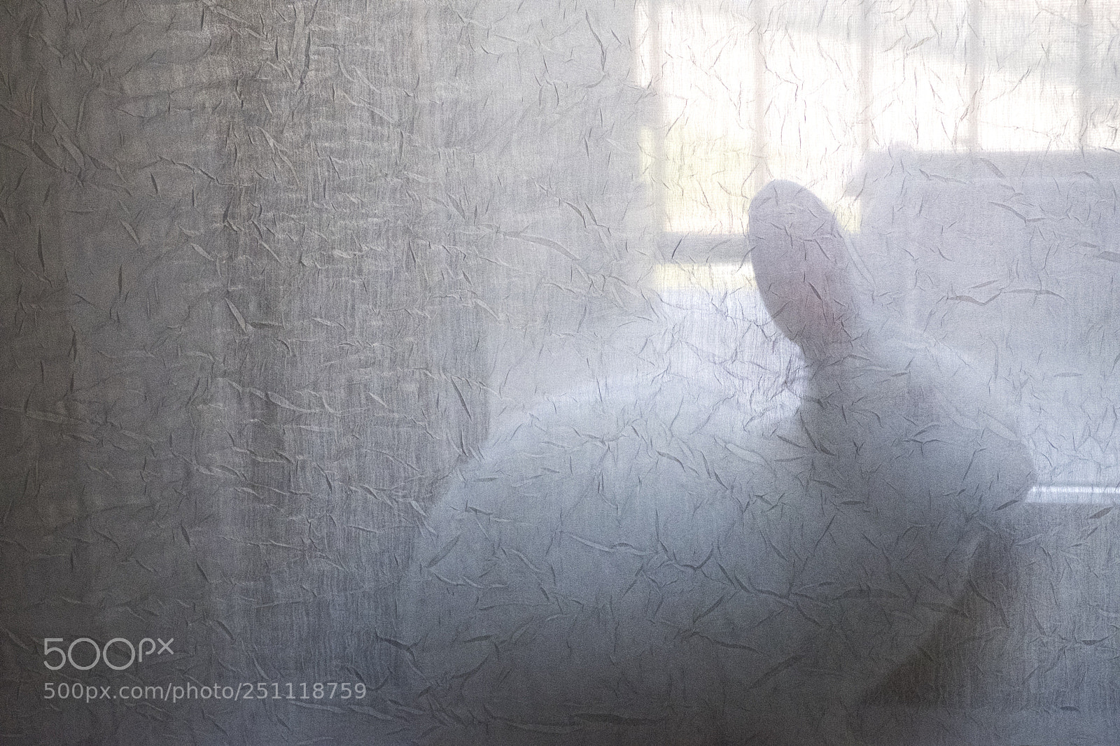 Fujifilm X-T20 sample photo. My hidden white rabbit photography