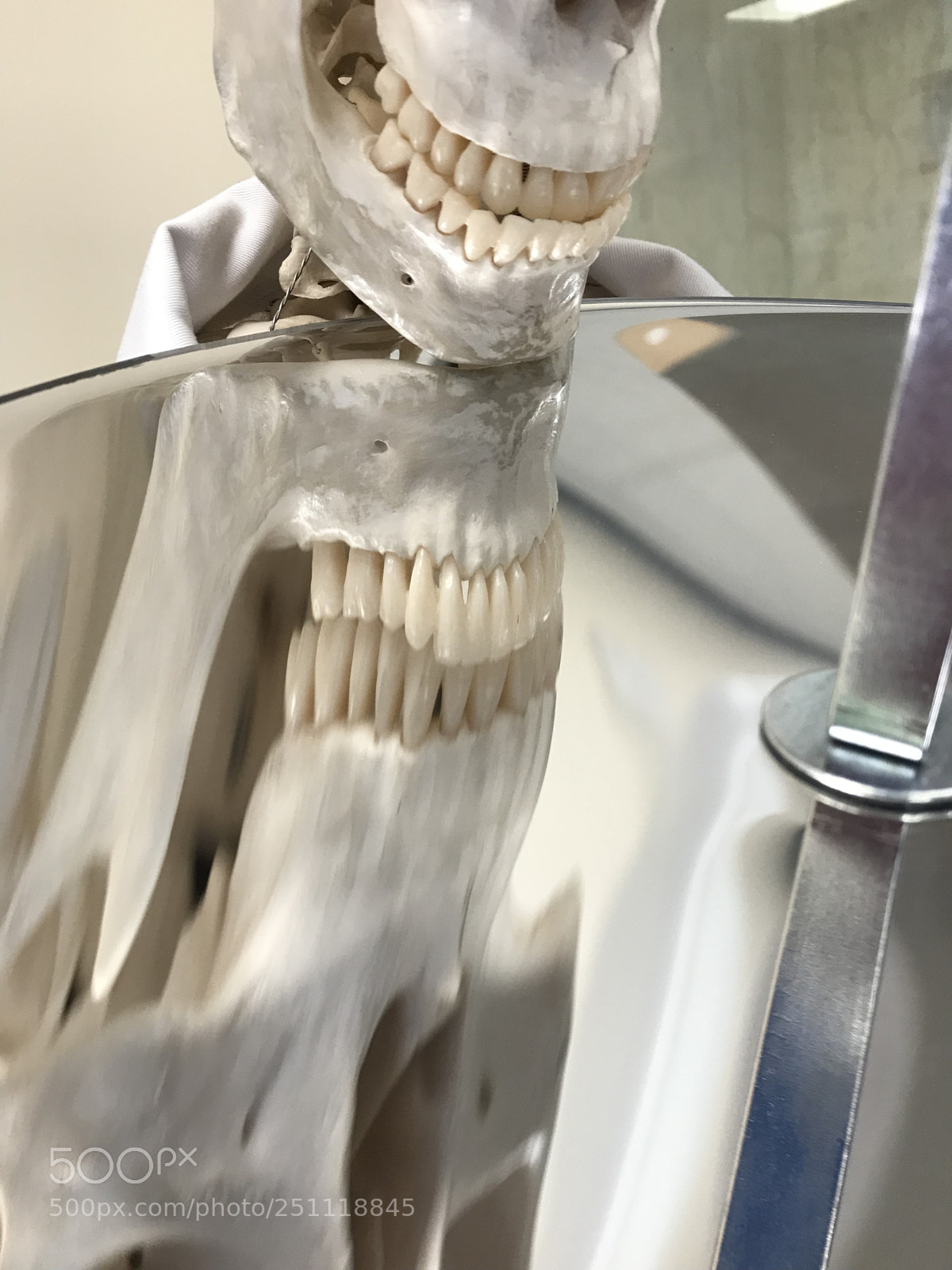 Apple iPhone 7 Plus sample photo. #science #reflections #skeleton  photography