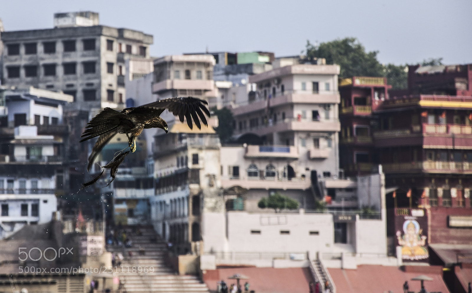 Nikon D7200 sample photo. Untitled photography
