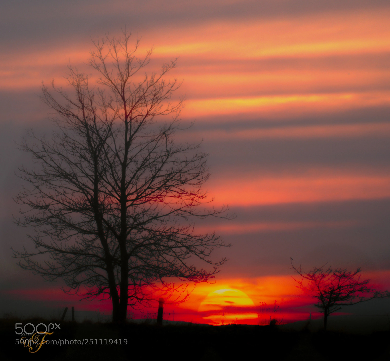 Nikon D5100 sample photo. Sonnenuntergang ! photography