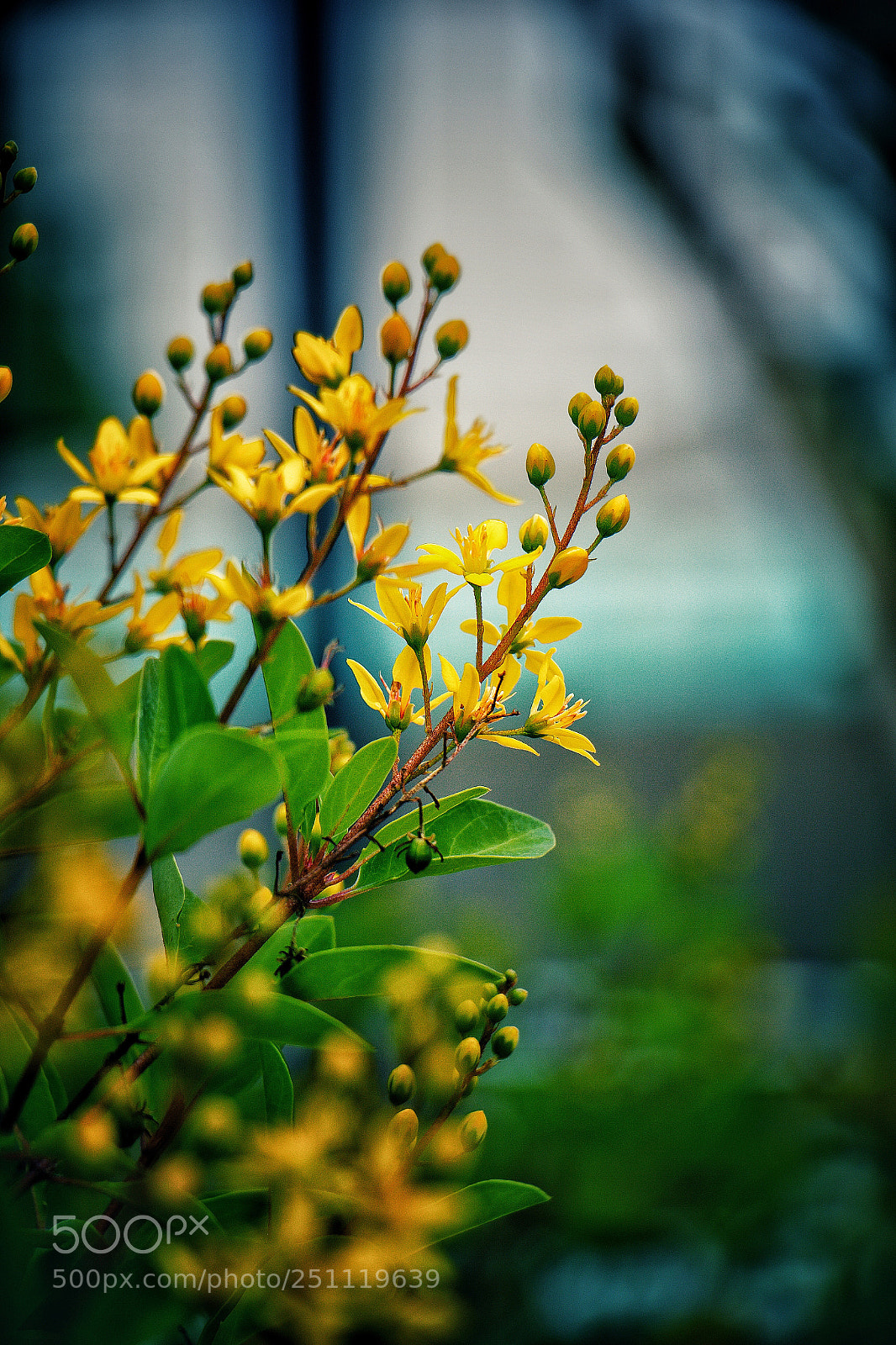 Canon EOS 60D sample photo. Untitled photography