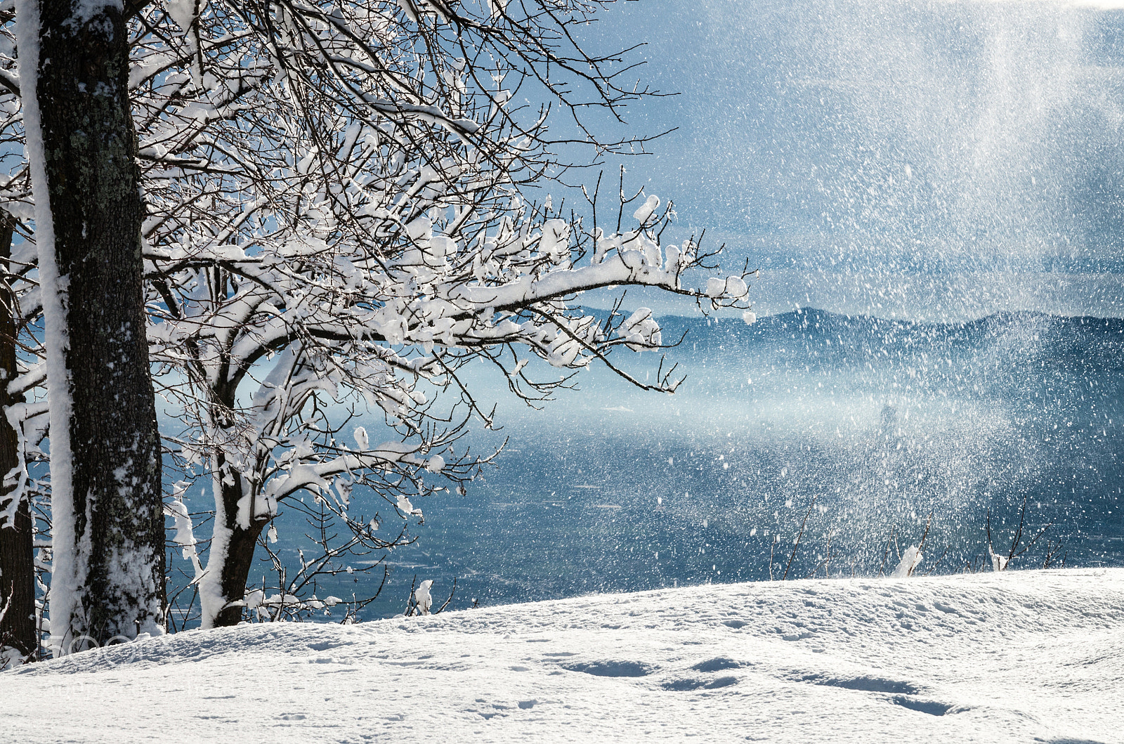 Nikon D5000 sample photo. _winter shower_ photography