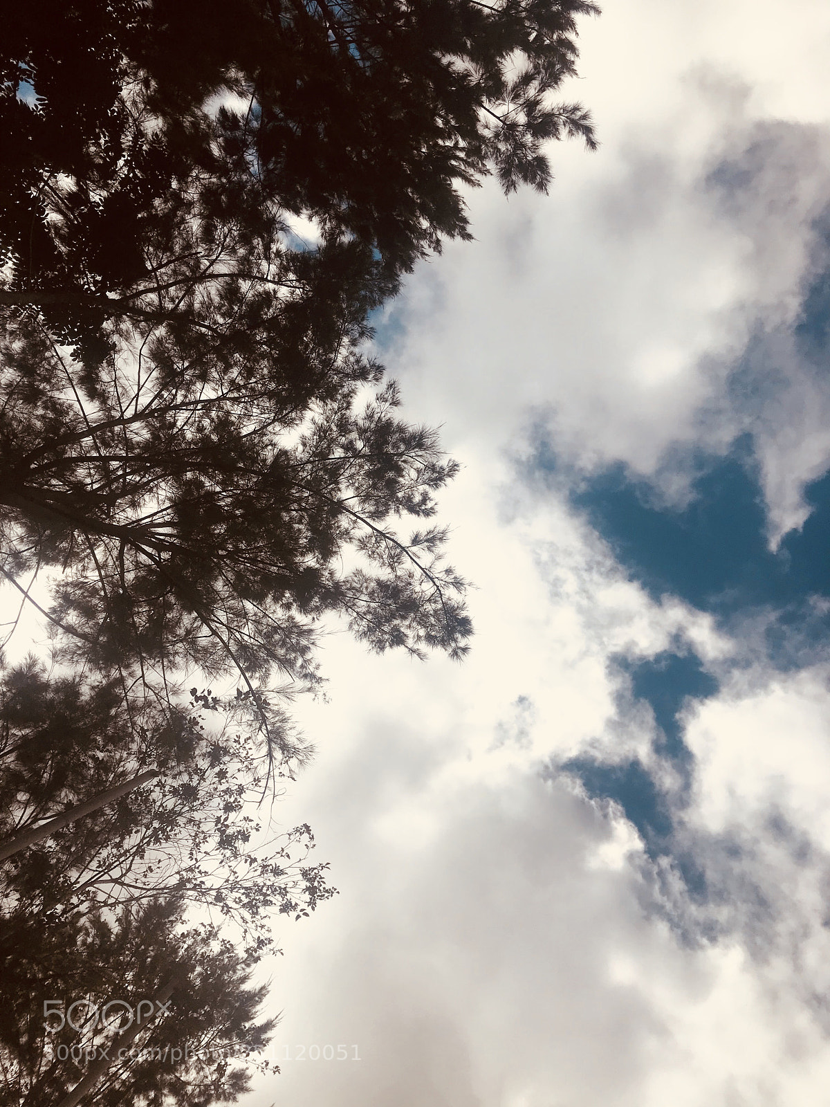 Apple iPhone 7 sample photo. Dream photography