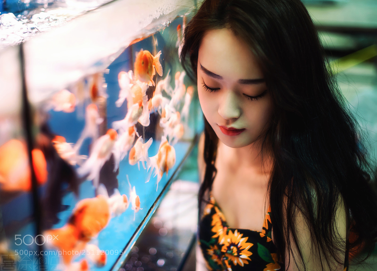 Nikon D810 sample photo. 与鱼为画 photography
